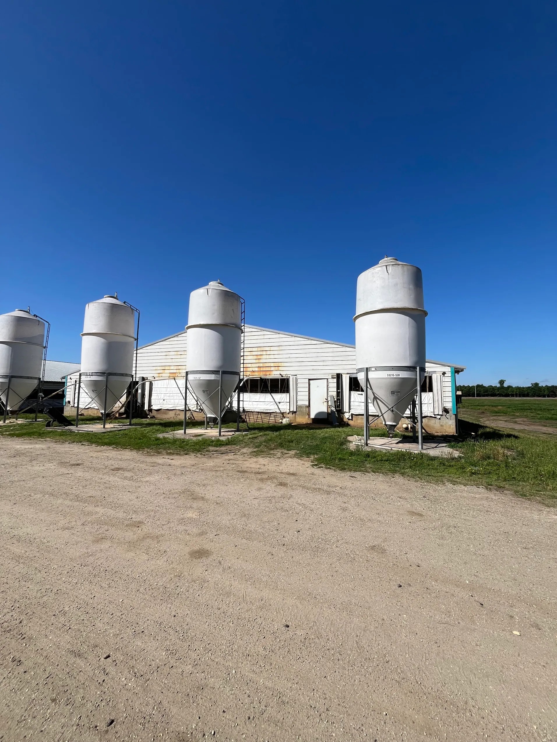 Blenheim Swine Finishing Farm, photo 6