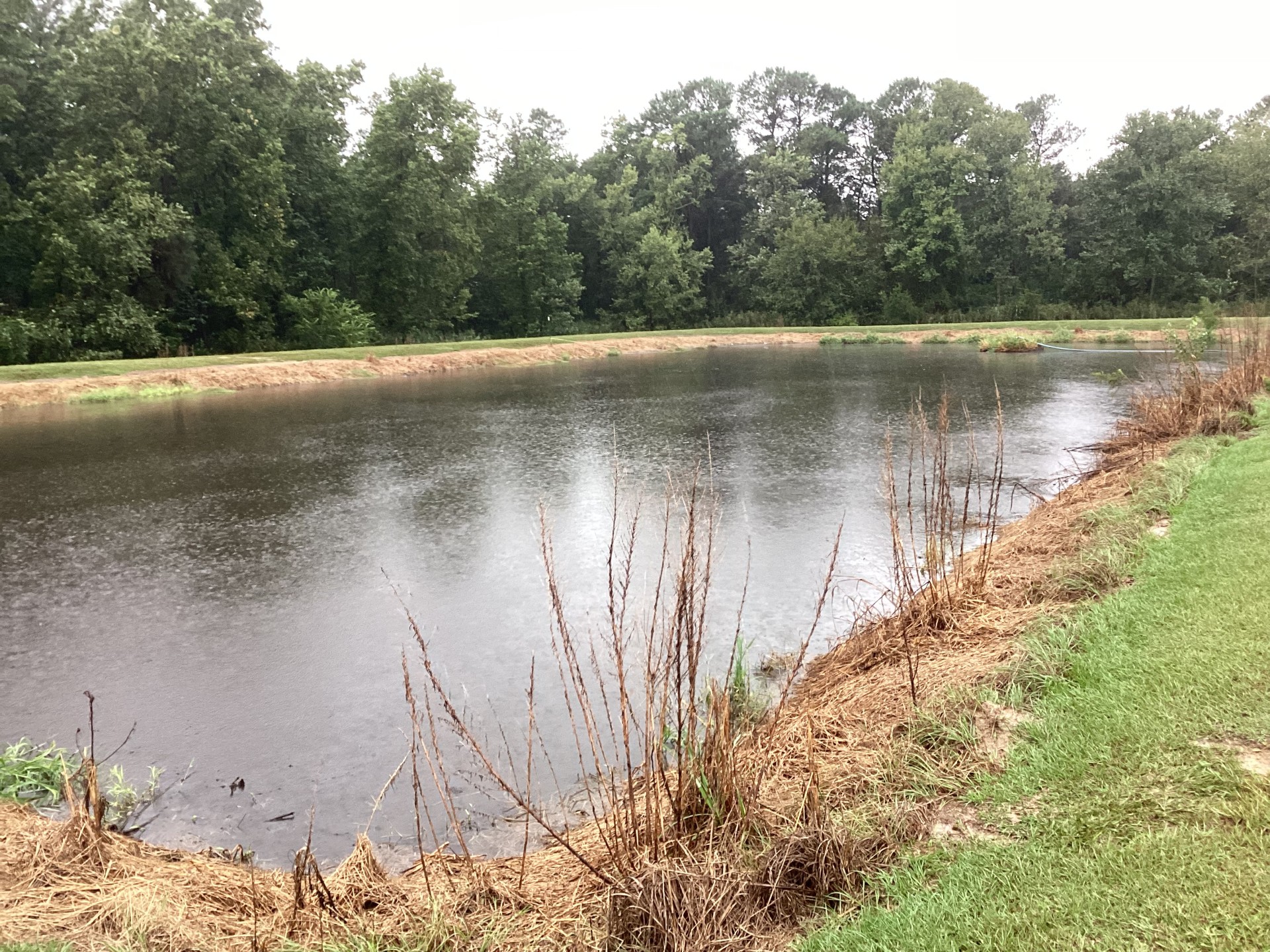 Duplin County Nursery Farm, Cypress Creek
