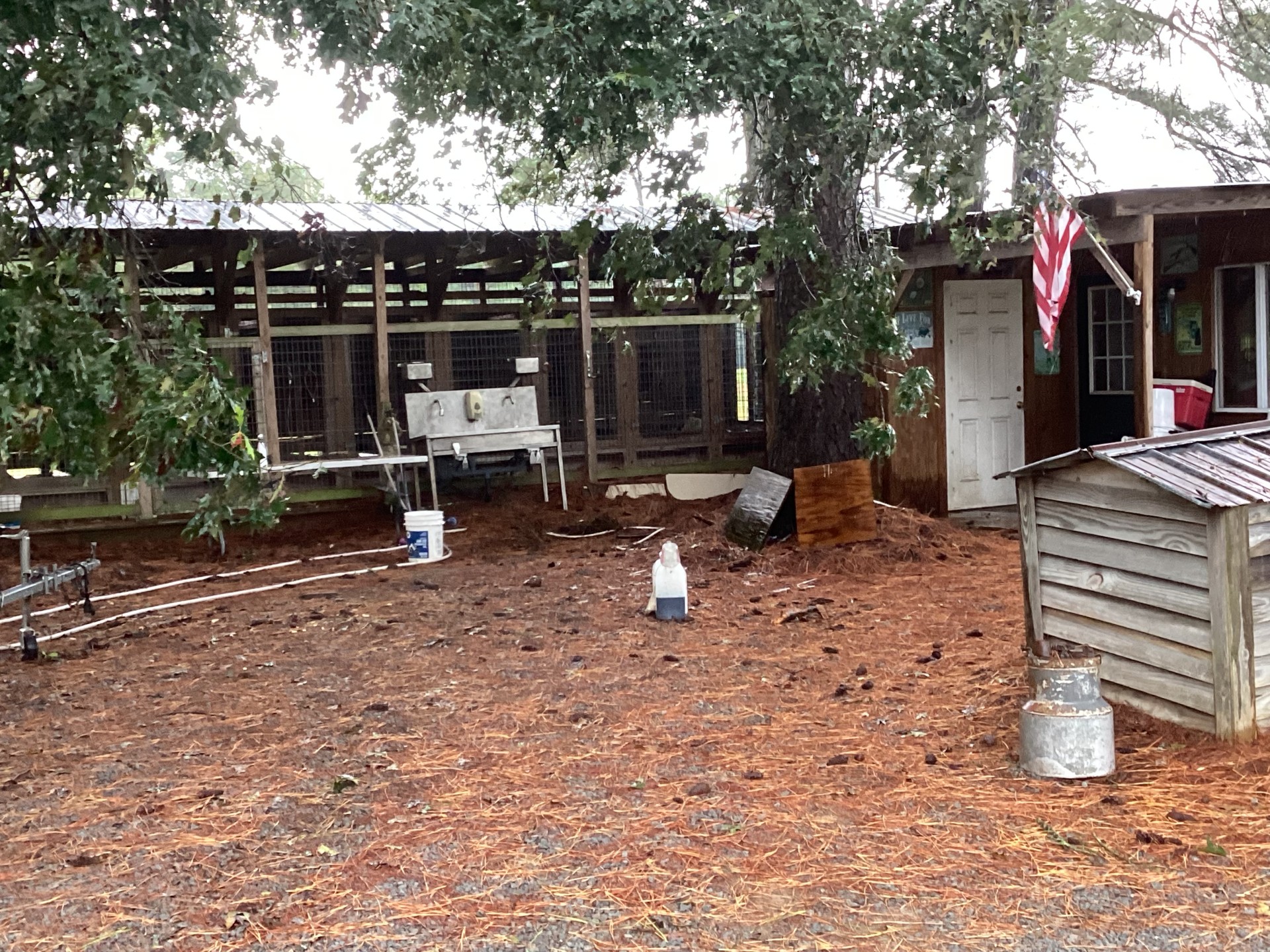 Duplin County Nursery Farm, Cypress Creek, photo 13