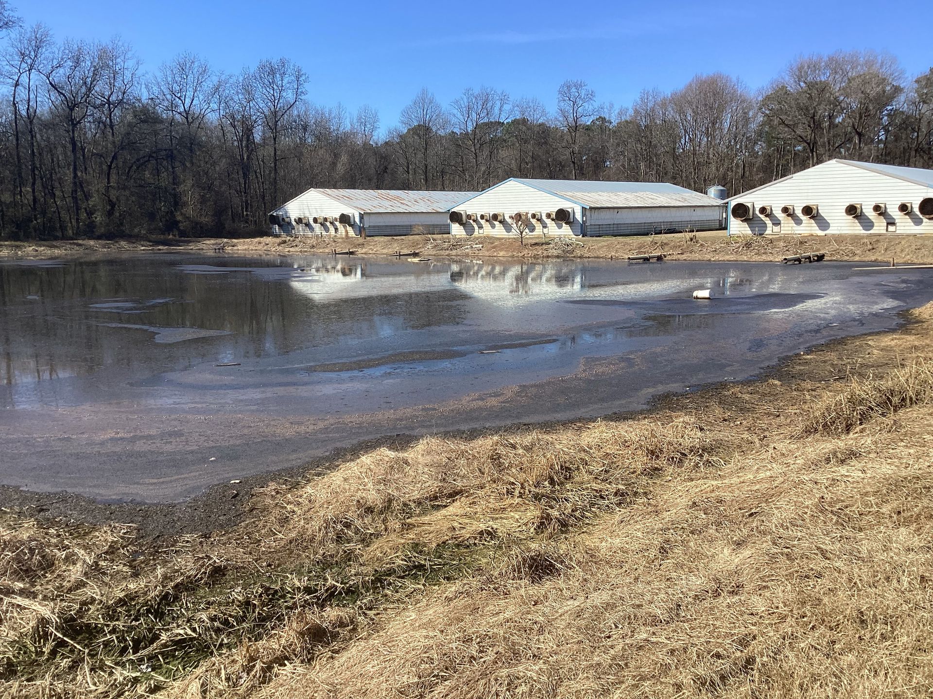 Sampson County Nursery Farm