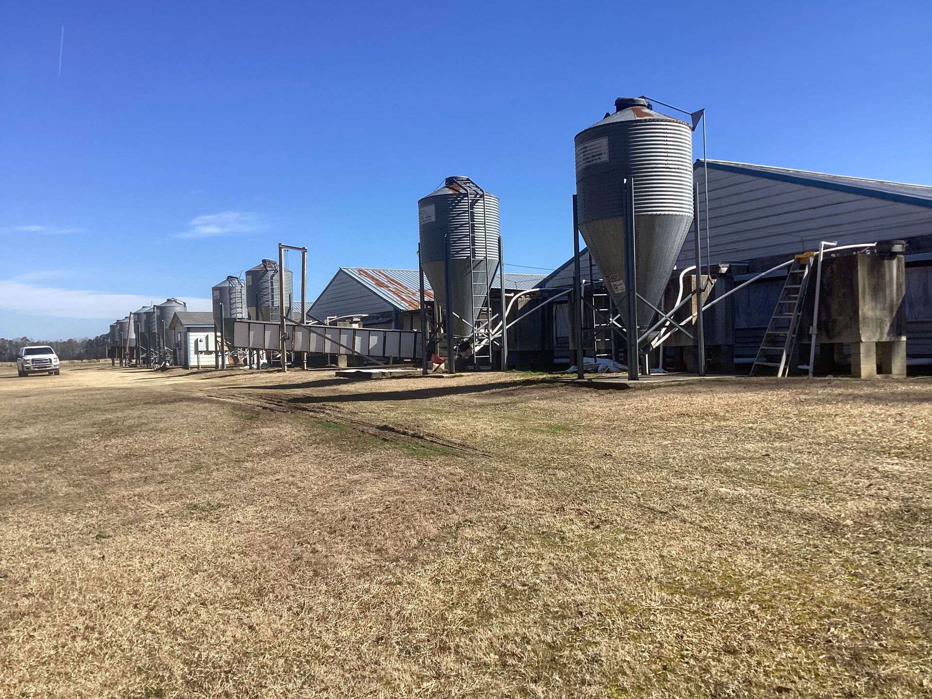 Sampson County Nursery Farm, photo 3