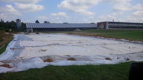 Sludge dewatering and bagging