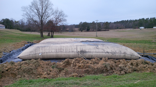 Sludge dewatering and bagging
