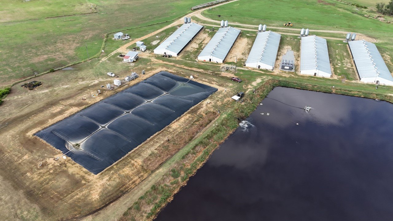 Aerial view of a covered lagoon beside swine barns