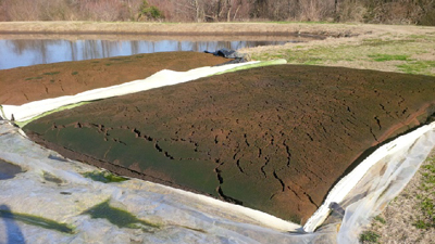Sludge dewatering and bagging