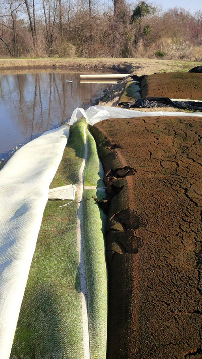 Sludge dewatering and bagging