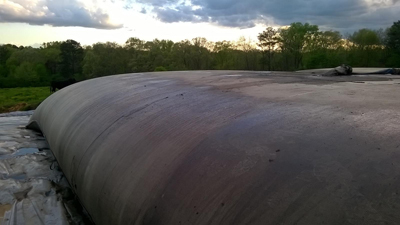 Sludge dewatering and bagging
