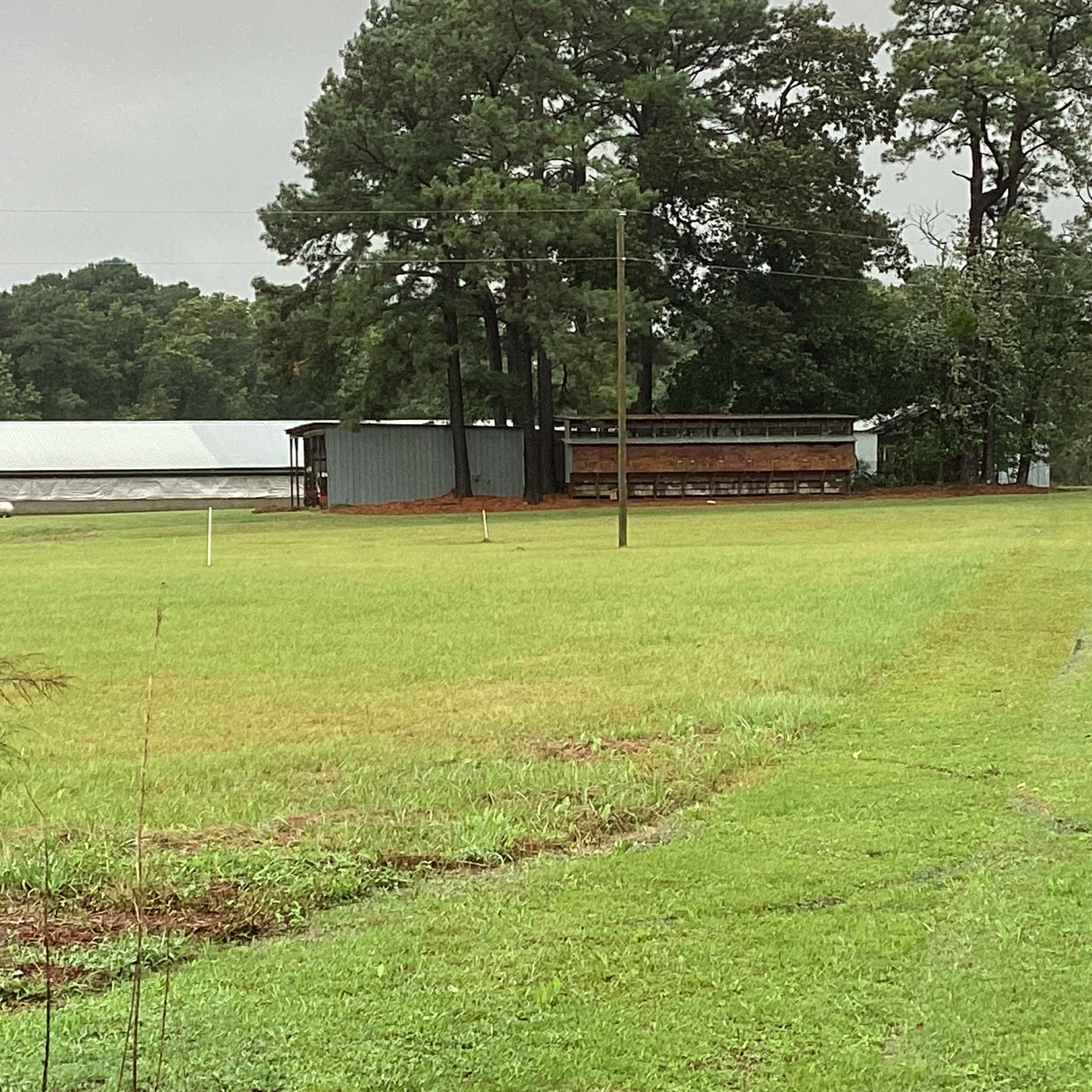 thumbnail_image1 (1).jpg