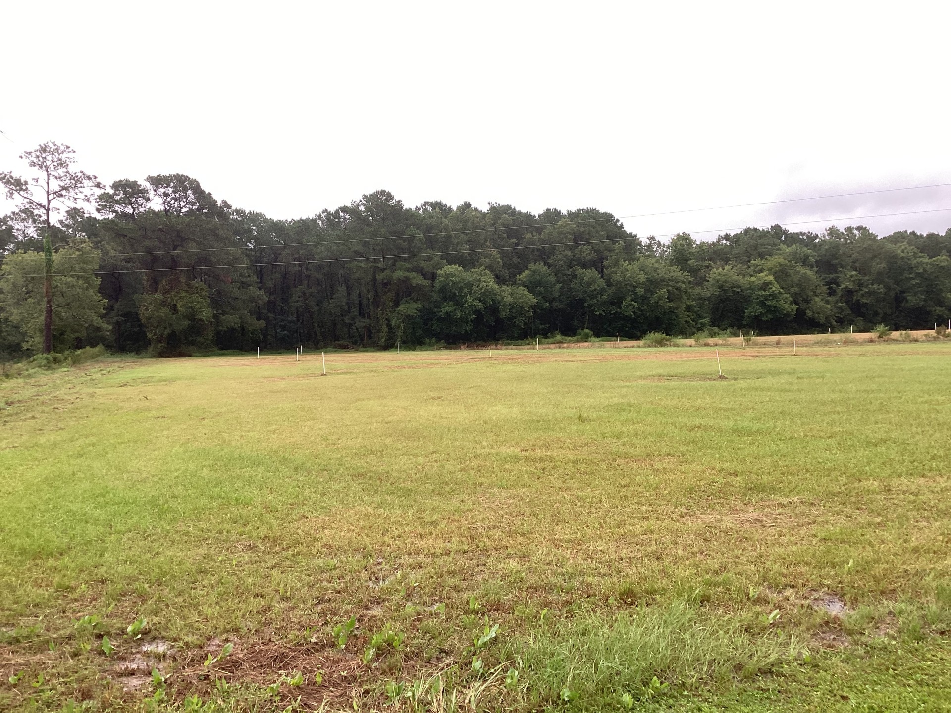 thumbnail_image5 (1).jpg